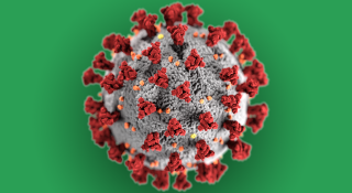 Coronavirus