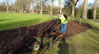 Aanplanting groene gordel