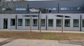 Drie boomstructuren