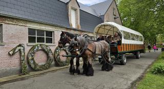 Paard met kar voor het Pomphuis als verwijzing naar ons jubileumjaar