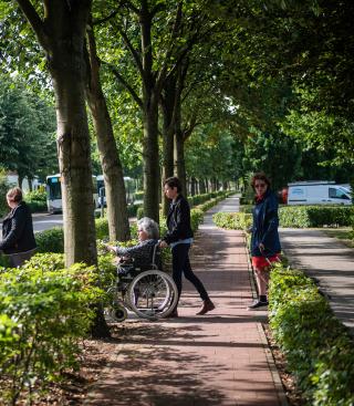 Bejaarden in rolstoel in natuur.