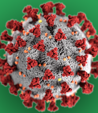 Coronavirus