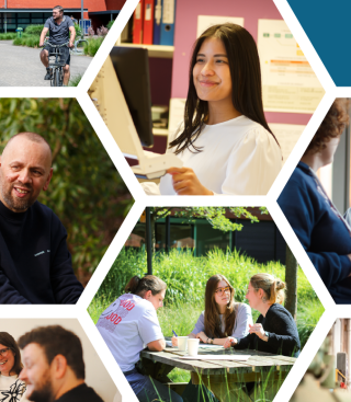 Collage met medewerkers